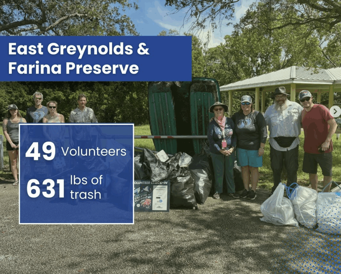 2025 International Coastal Cleanup