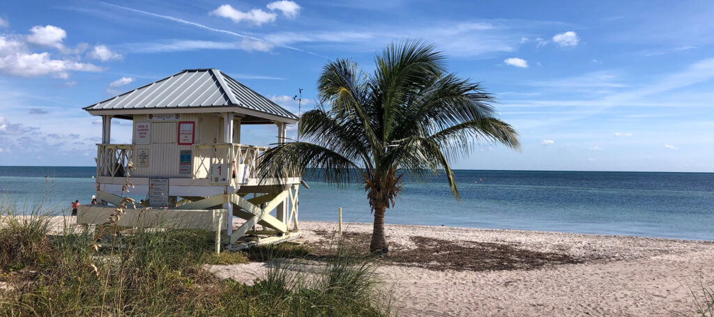 Kids can snorkel, paddle board, kayak and dissect sea creatures this summer at the Marjory Stoneman Douglas Biscayne Nature Center’s “Summer by the Sea” marine science day camp.