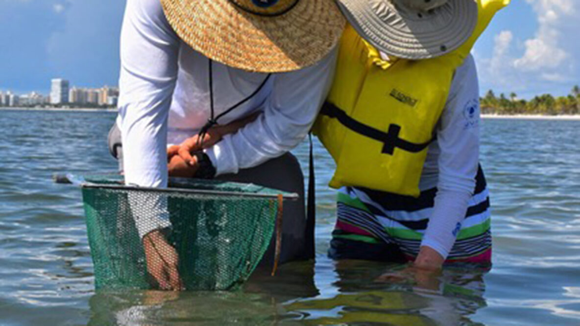 Key Biscayne Nature Center, More Than You Imagine