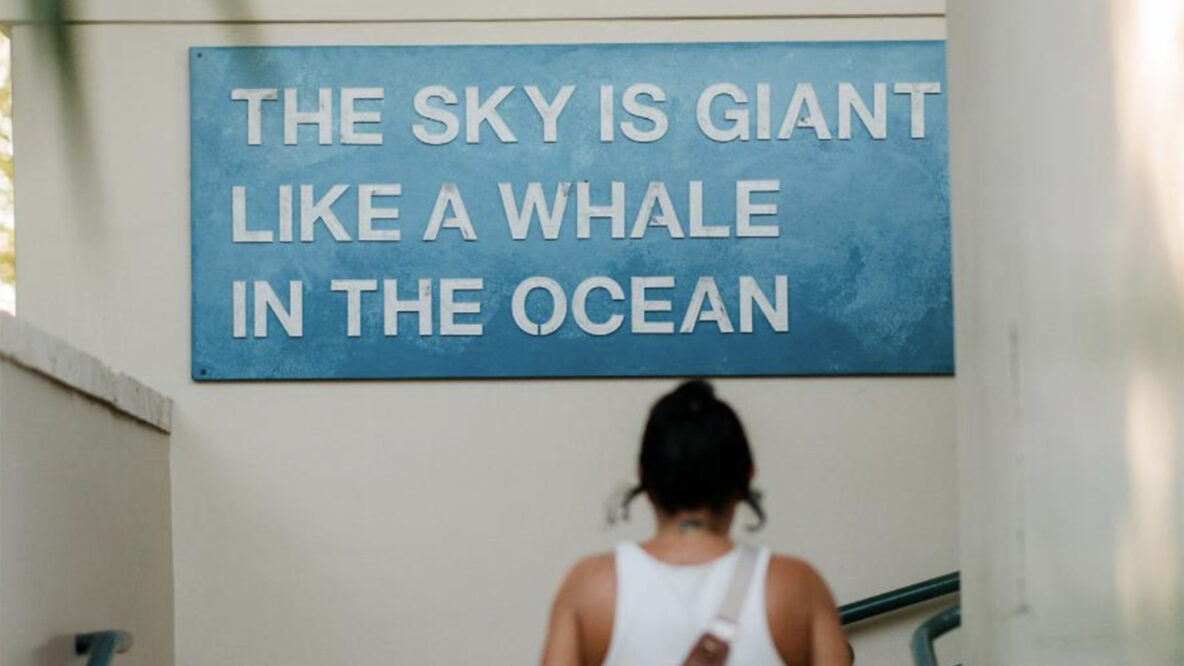 Biscayne Nature Center x Free Plastic