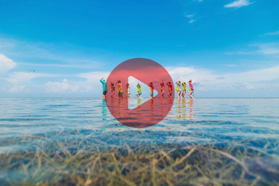 Watch Marjory Stoneman Douglas' Nature Center by the Sea