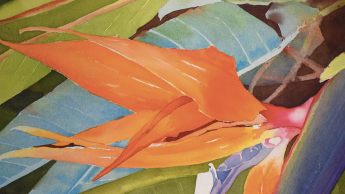 Watercolors and Plastic Bottles on View at Biscayne Nature Center